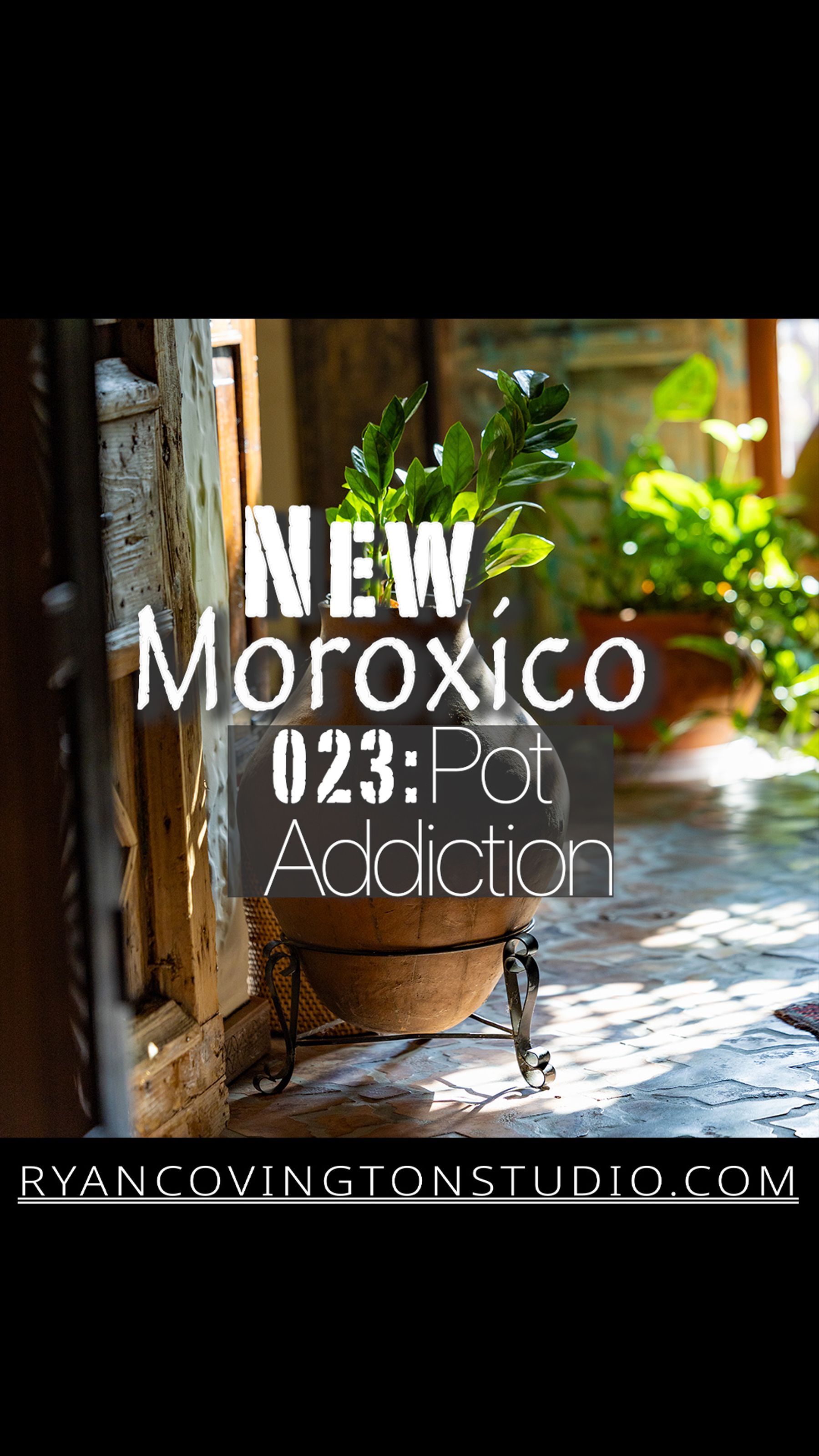 Atrium Pot Website W WORDS